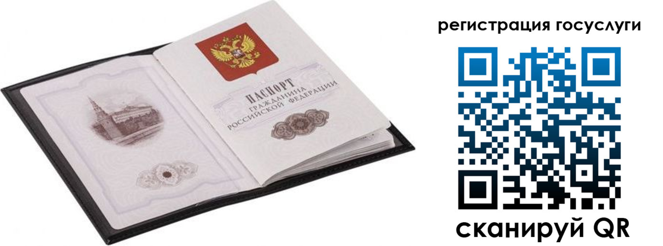 временная регистрация поиск в Оренбургской области